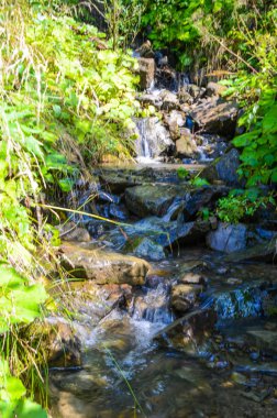 Sonbahar mevsiminde Karpat dağlarında küçük dere