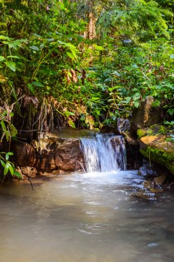 Sonbahar mevsiminde Karpat dağlarında küçük dere