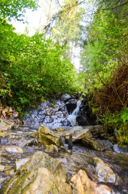 Sonbahar mevsiminde Karpat dağlarında küçük dere
