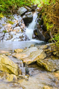 Sonbahar mevsiminde Karpat dağlarında küçük dere