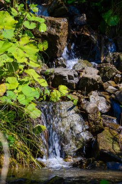 Sonbahar mevsiminde Karpat dağlarında küçük dere
