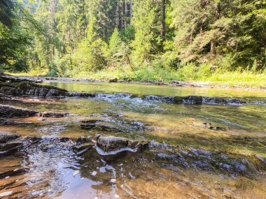 Sonbahar mevsiminde Karpat dağlarında küçük dere