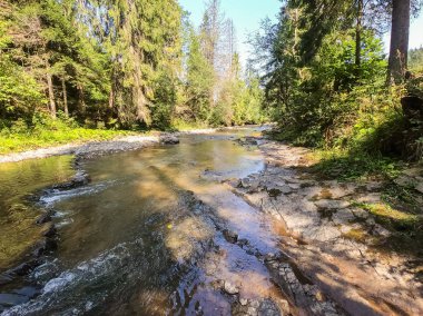 Sonbahar mevsiminde Karpat dağlarında küçük dere