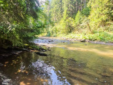 Sonbahar mevsiminde Karpat dağlarında küçük dere