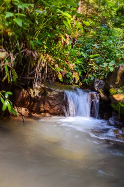 Sonbahar mevsiminde Karpat dağlarında küçük dere