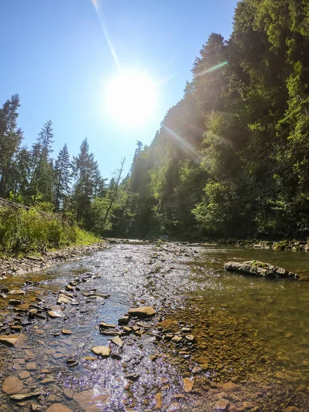 Pequeño Arroyo Las Montañas Los Cárpatos Enla Temporada Otoño — Foto de Stock