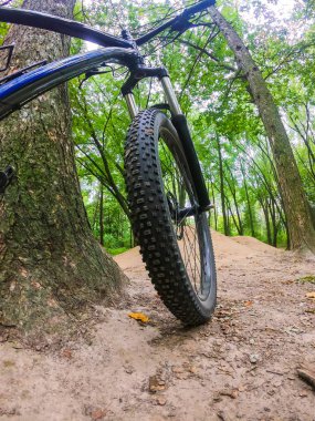 Sonbahar sezonunda patikada bisiklet.