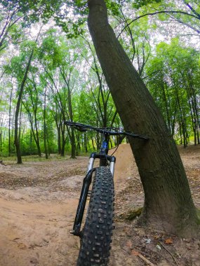 Sonbahar sezonunda patikada bisiklet.