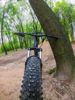 Sonbahar sezonunda patikada bisiklet.