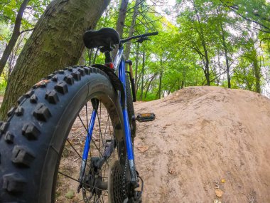 Sonbahar sezonunda patikada bisiklet.