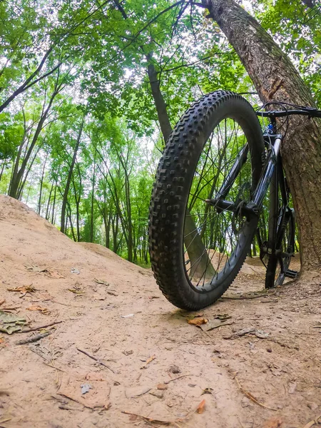 Bicicleta Mtb Nas Trilhas Temporada Outono — Fotografia de Stock