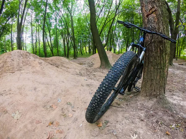 秋の登山道を自転車で走る — ストック写真