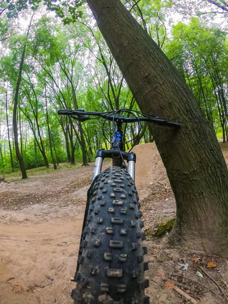 Bicicleta Mtb Nas Trilhas Temporada Outono — Fotografia de Stock