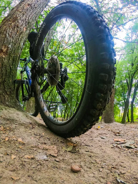 秋の登山道を自転車で走る — ストック写真