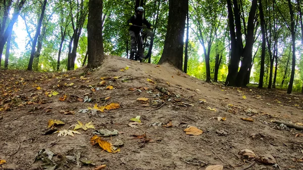 Bicicleta Mtb Nas Trilhas Temporada Outono — Fotografia de Stock