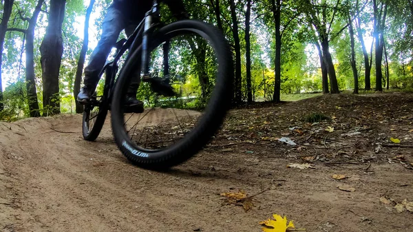 Ποδήλατο Mtb Στα Μονοπάτια Της Φθινοπωρινής Σεζόν — Φωτογραφία Αρχείου