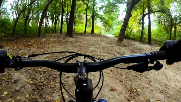 Bicicleta Mtb Los Senderos Temporada Otoño — Foto de Stock