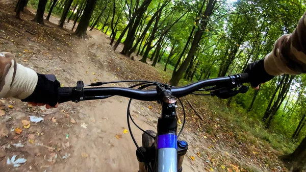 MTB bicycle on the trails in the autumn season