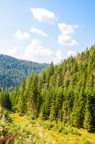 Cárpatos Montañas Paisaje Temporada Otoño Día Soleado — Foto de Stock