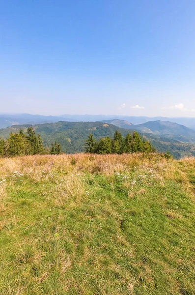 Cárpatos Montañas Paisaje Temporada Otoño Día Soleado —  Fotos de Stock