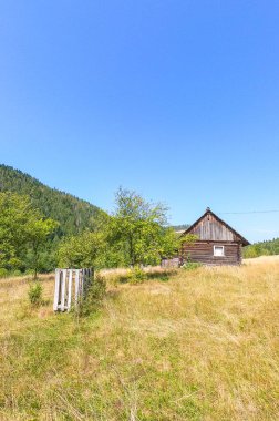 Karpat Dağları, sonbahar mevsiminde güneşli bir günde manzara sunar.