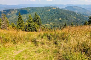 Karpat Dağları, sonbahar mevsiminde güneşli bir günde manzara sunar.