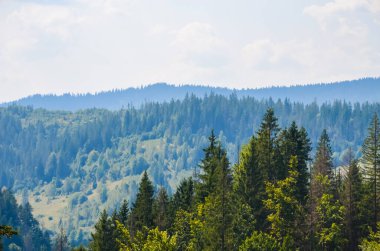Karpat Dağları, sonbahar mevsiminde güneşli bir günde manzara sunar.