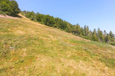 Karpat Dağları, sonbahar mevsiminde güneşli bir günde manzara sunar.