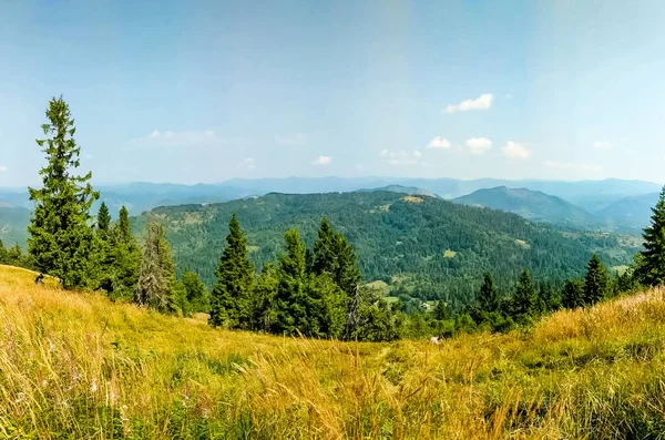 Cárpatos Montañas Paisaje Temporada Otoño Día Soleado —  Fotos de Stock