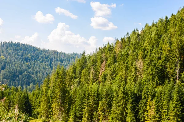 Cárpatos Montañas Paisaje Temporada Otoño Día Soleado — Foto de Stock