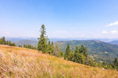 Karpat Dağları, sonbahar mevsiminde güneşli bir günde manzara sunar.