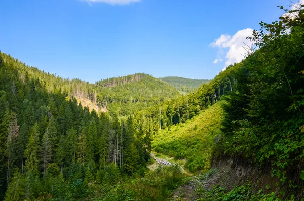 Karpat Dağları Sonbahar Mevsiminde Güneşli Bir Günde Manzara Sunar — Stok fotoğraf