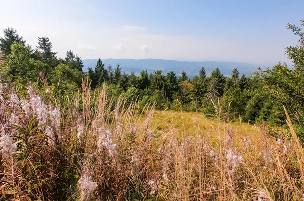 Paysage Des Montagnes Des Carpates Automne Par Temps Ensoleillé — Photo