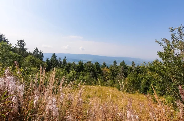 Paysage Des Montagnes Des Carpates Automne Par Temps Ensoleillé — Photo