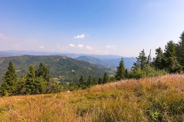 Cárpatos Montañas Paisaje Temporada Otoño Día Soleado —  Fotos de Stock