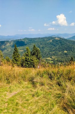 Karpat Dağları, sonbahar mevsiminde güneşli bir günde manzara sunar.