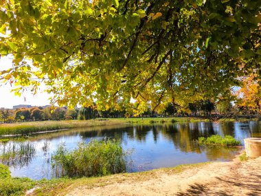 Sonbahar sezonunda renkli şehir parkı