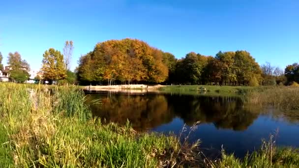 Videobeelden van het herfststadspark — Stockvideo