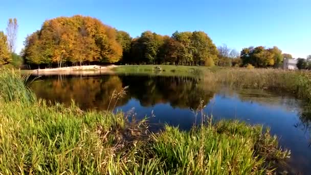 Video footage of autumn city park — Stock Video