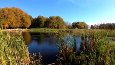 Autumn City Park 'ın video görüntüleri.