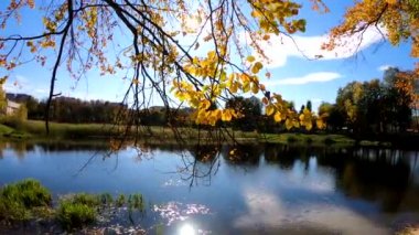 Autumn City Park 'ın video görüntüleri.