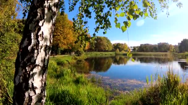 Video del parque de otoño de la ciudad — Vídeos de Stock