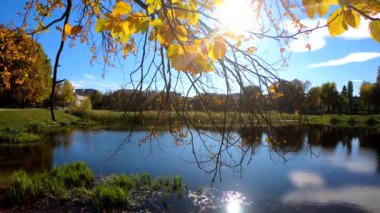 Autumn City Park 'ın video görüntüleri.