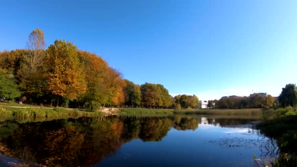 Video del parque de otoño de la ciudad — Vídeo de stock