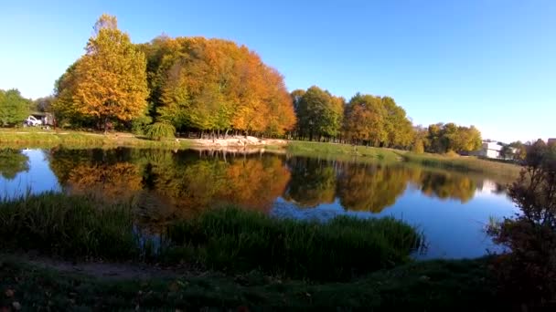 Video del parque de otoño de la ciudad — Vídeo de stock