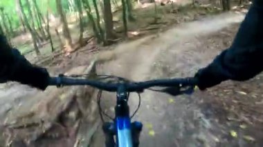 Sonbahar sezonunda renkli şehir parkı