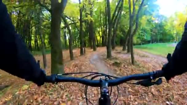 Pilota dilettante in bicicletta nel parco autunnale — Video Stock