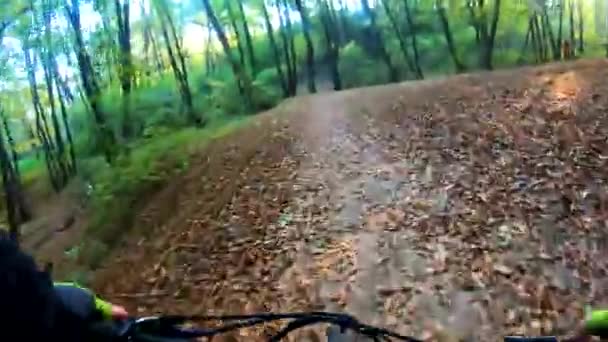 Amateur rider on the bicycle in the autumn park — Stock Video