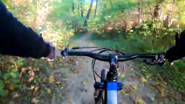 Amateur jinete en la bicicleta en el parque de otoño — Vídeos de Stock