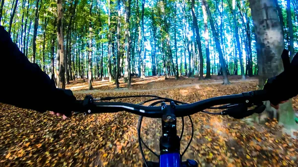 Amateur Mtb Rideron Sentier Dans Saison Automne — Photo